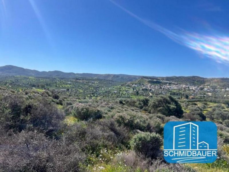 Pitsidia Kreta, Pitsidia: Grundstück am Ortsrand zu verkaufen Grundstück kaufen